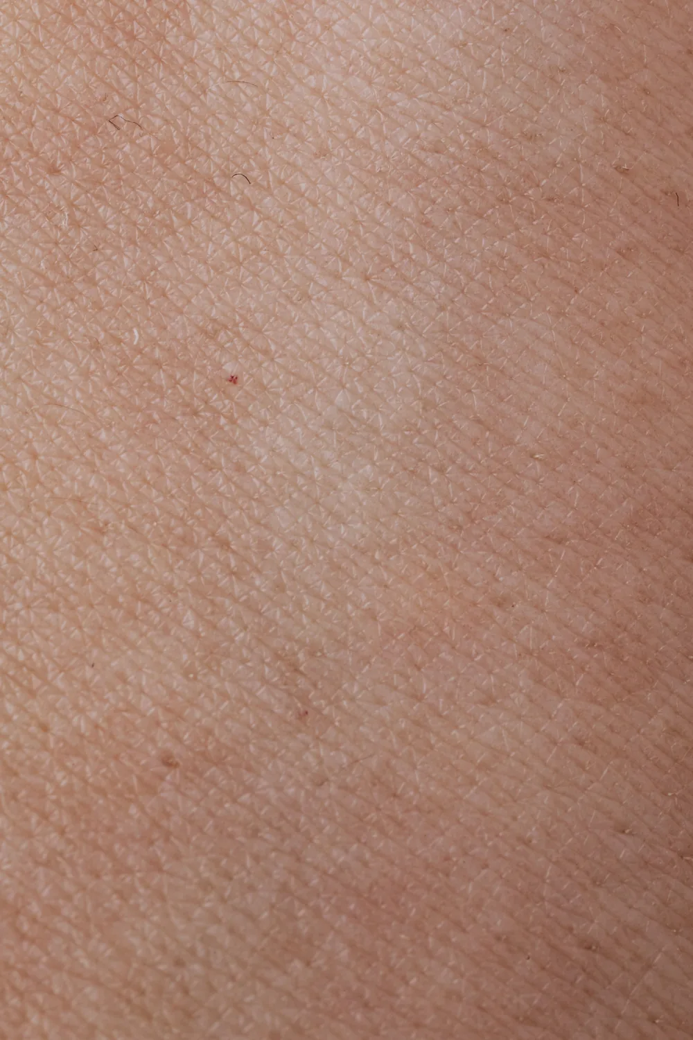 Wartebereich Body Art Surgery Institute Düsseldorf — Sculptra beim Facharzt Dr. (univ.Te.) Fetai